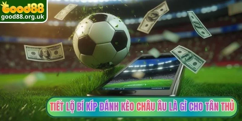 Kèo Châu Âu Là Gì - Khám Phá Cửa Cược Thu Hút Bậc Nhất 3 Tiết lộ bí kíp đánh kèo châu Âu là gì cho tân thủ